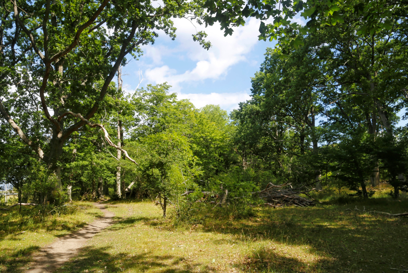 Danmark er foran på klimamål – men bagud på handling