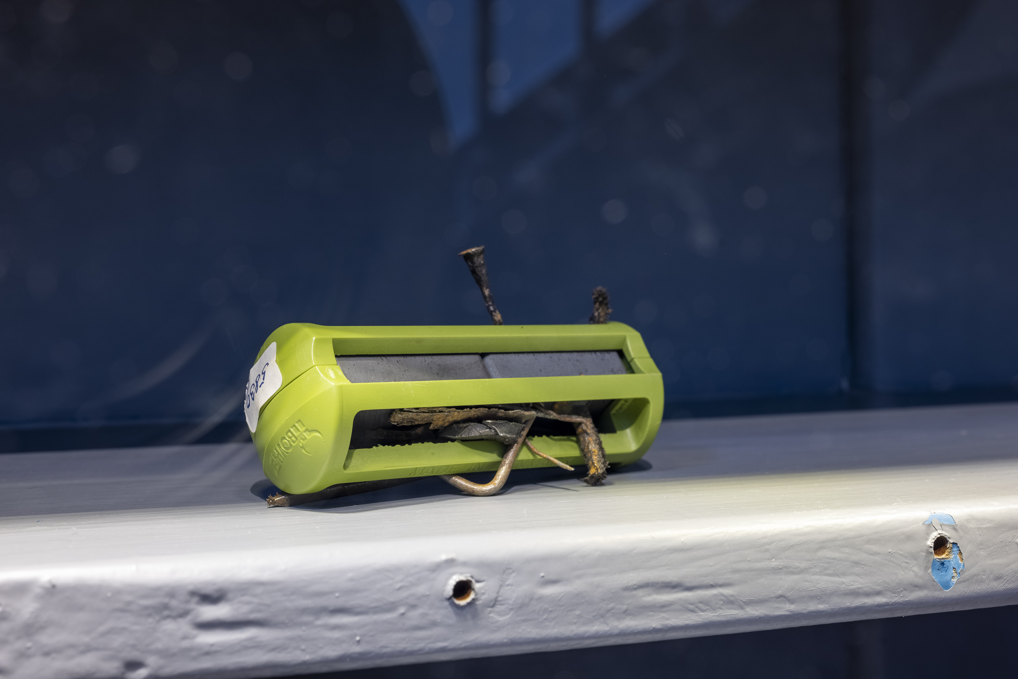 Kæmpe svin, vommagneter og elitekøer