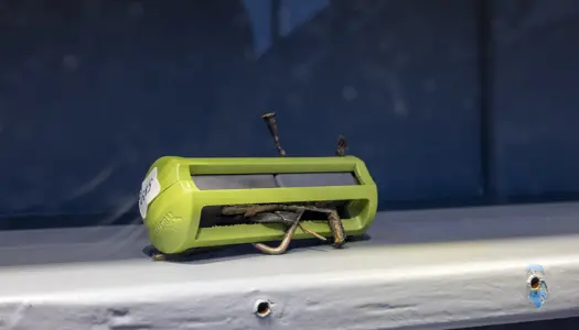 Kæmpe svin, vommagneter og elitekøer