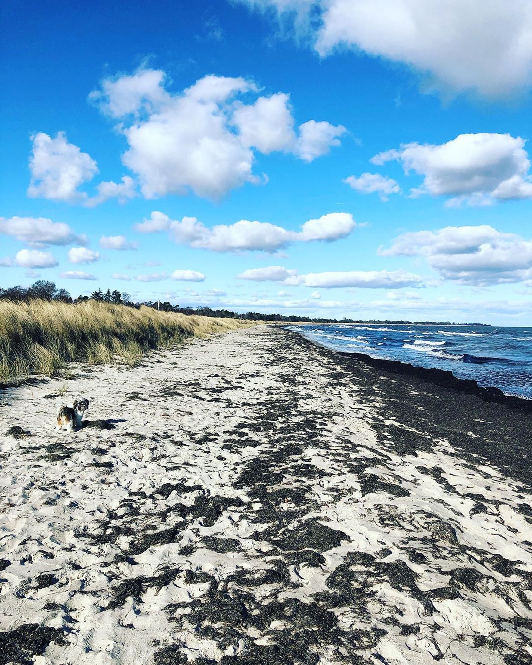 10. Marielyst Strand: God badestrand på kysten