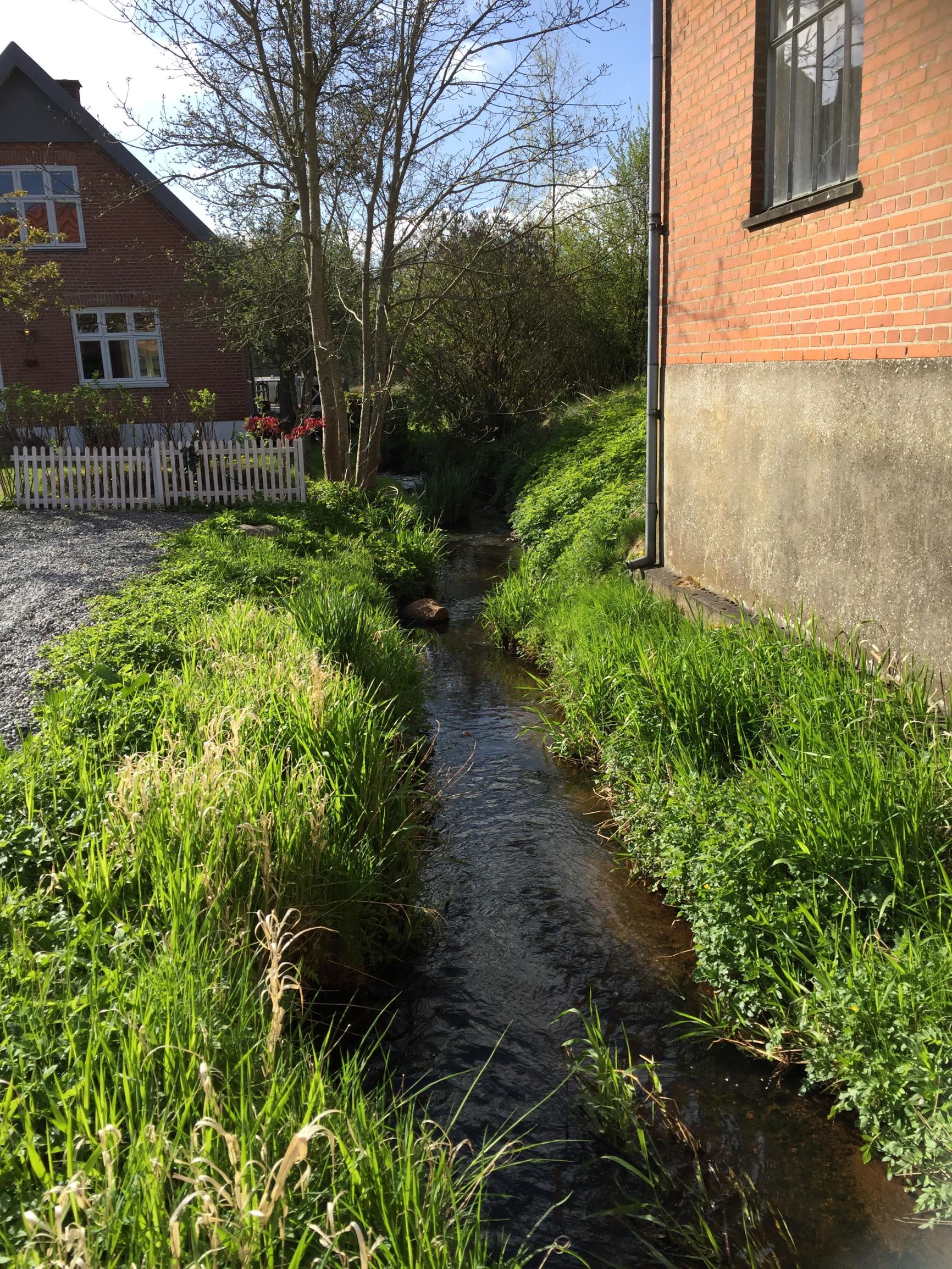 Når vandet skyder sig vej gennem byen