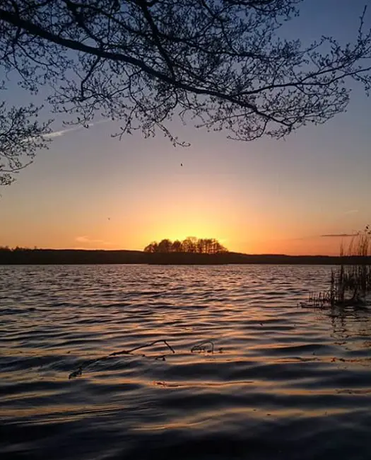 11. Fugleparadis ved Arreskov Sø