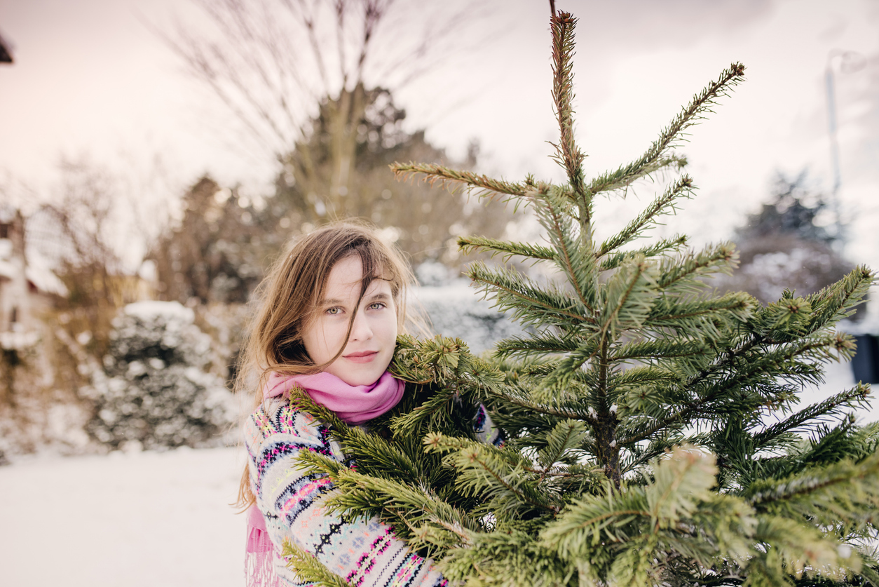 2. Vælg rødgran fremfor nordmannsgran