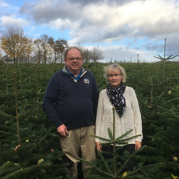 Lygtholt sælger økologiske juletræer i Aarhus, København eller online