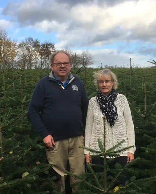 Lygtholt sælger økologiske juletræer i Aarhus eller online