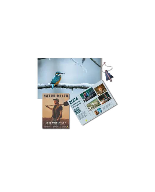 En gave fyldt med oplevelser!