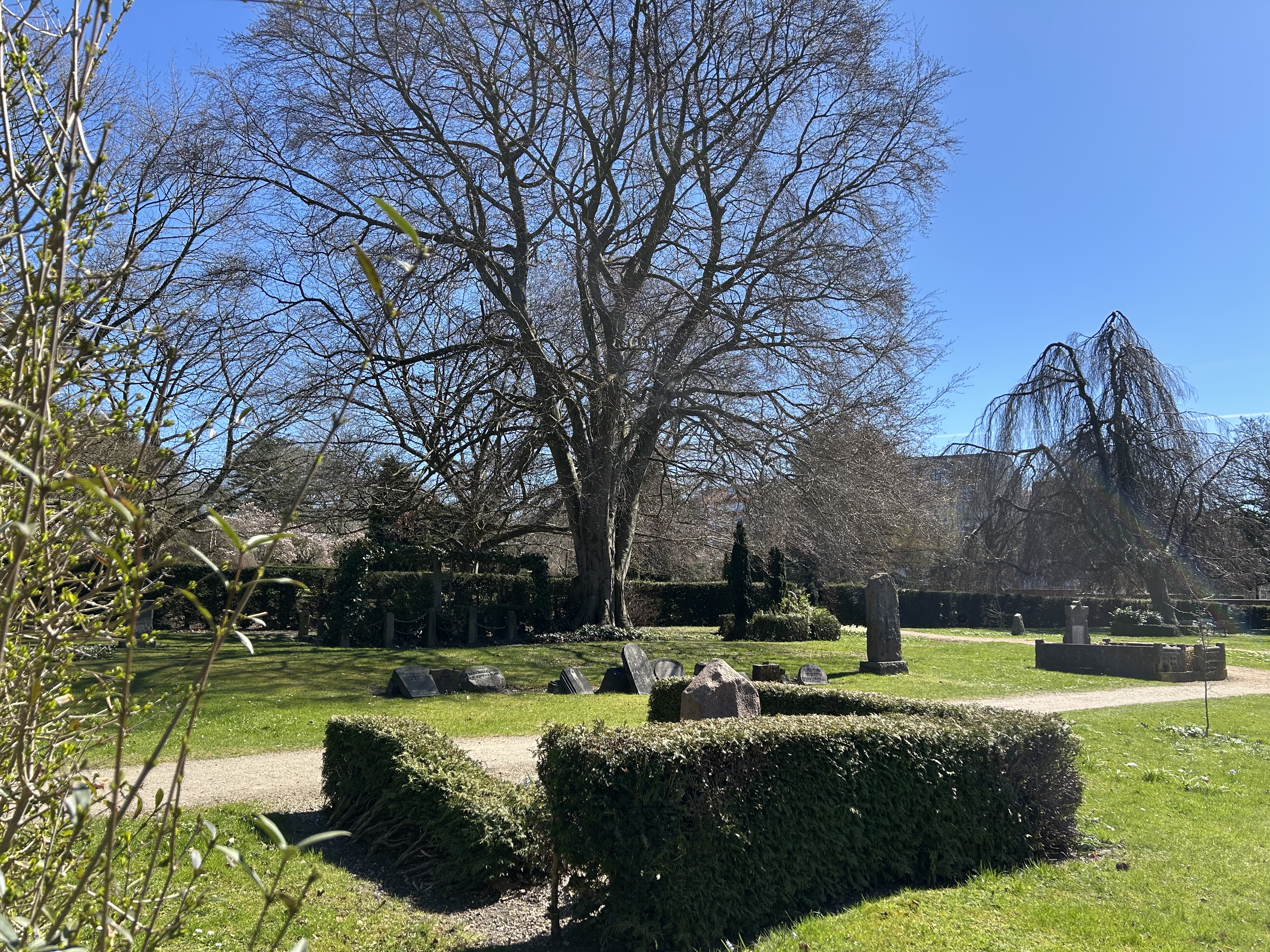 Kirkegårde er bedre beskyttet end parker