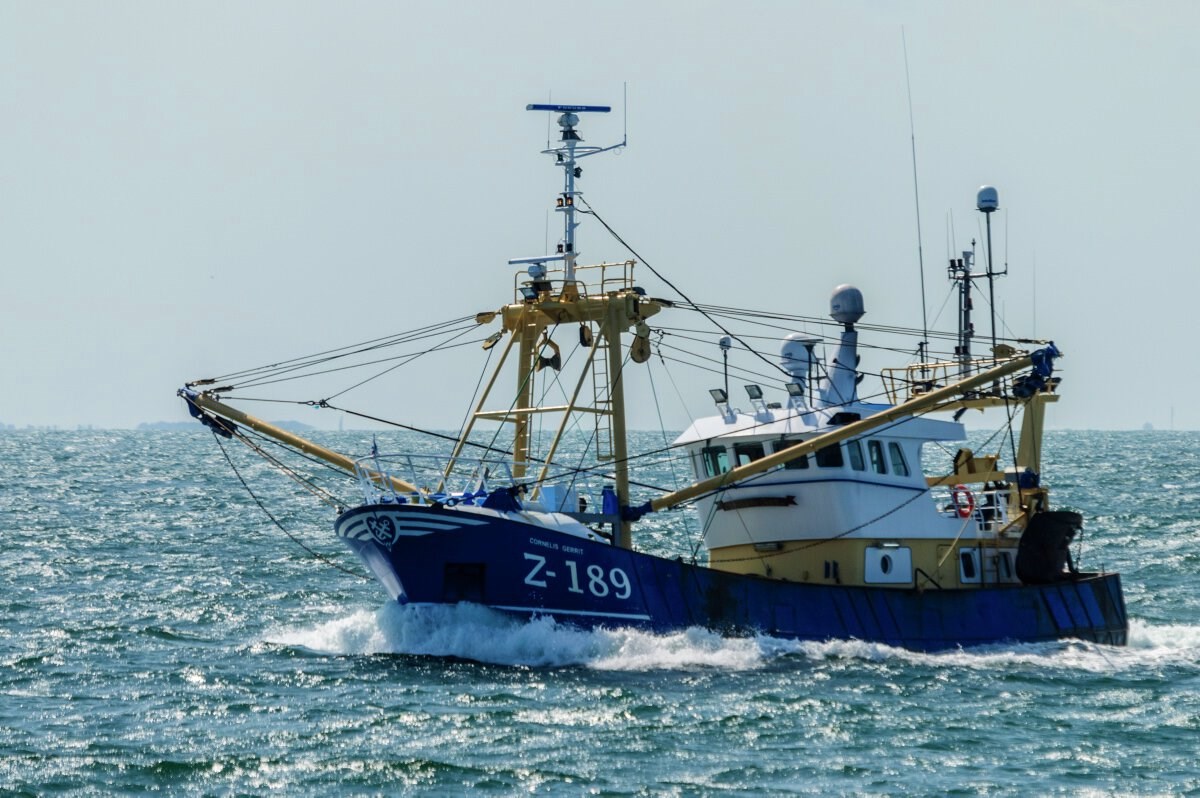 Længe ventet trawlforbud freder stenrev - men ikke vigtig havnatur omkring 