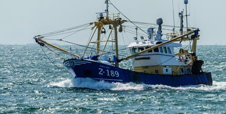Længe ventet trawlforbud freder stenrev - men ikke vigtig havnatur omkring