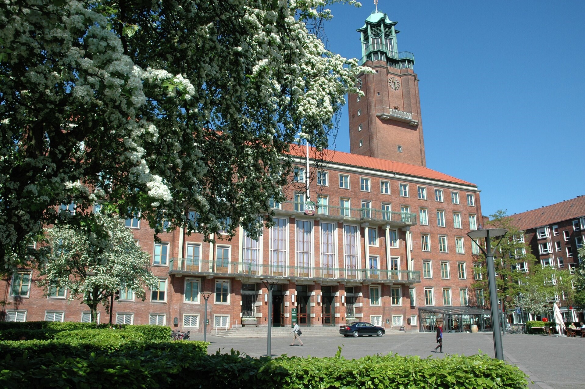På Frederiksberg skal alle borgere kunne se et træ fra deres bolig