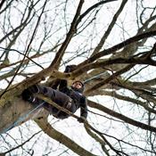 Kan jeg klatre i træer, kan jeg også klare skolen