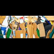 Onlinehandel giver massiv stigning i pap - skovene betaler prisen