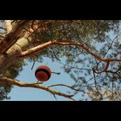 5 anbefalinger: Her kan du opleve kunst i naturen