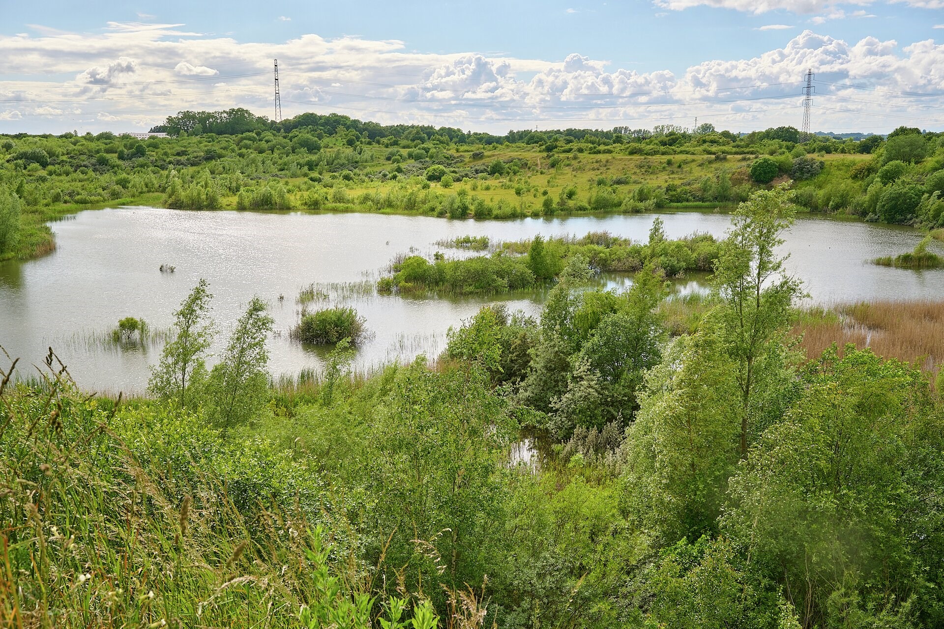 En historisk mulighed! Stort ledigt område kan blive til 70 km natur