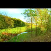 5 fascinerende dyr og planter du kan opleve i maj