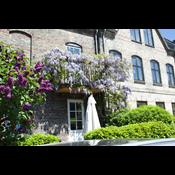 Gave til byens insekter: Nu får københavnere penge til at gøre fællesarealer grønnere