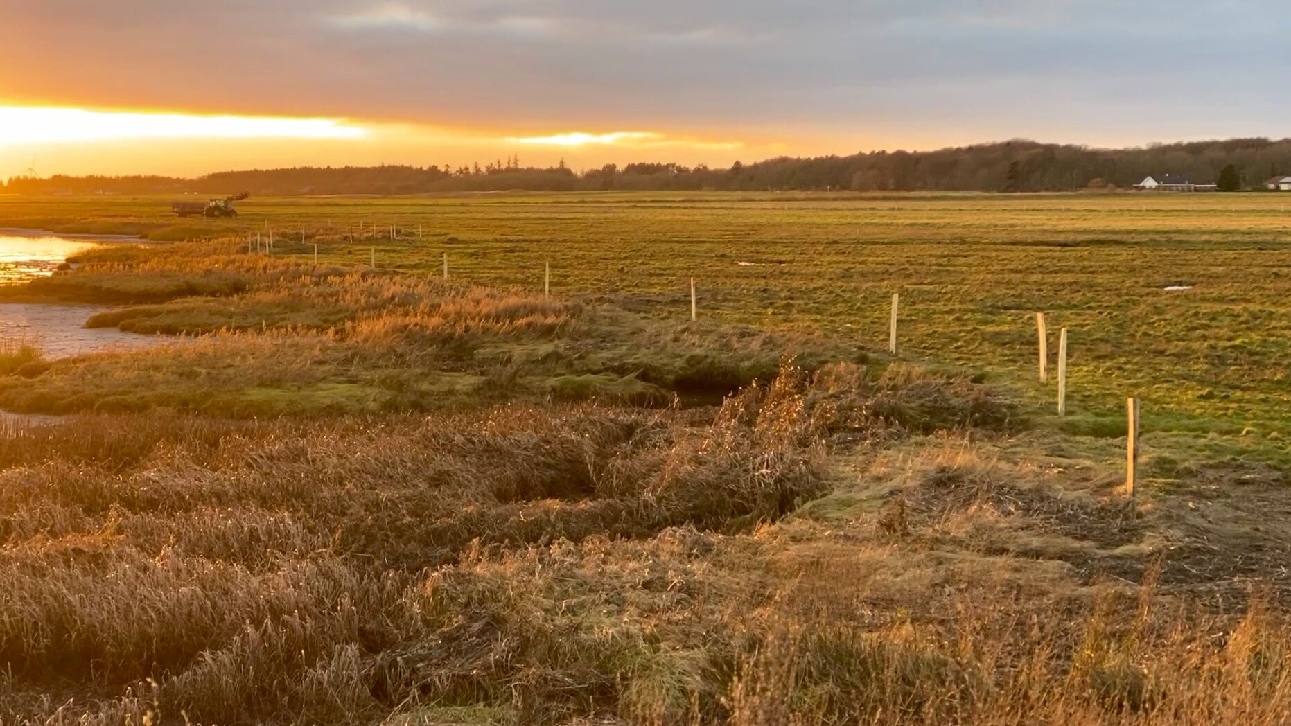 Landsbyboere går sammen for at redde kystnatur
