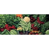 Hvor bæredygtigt er dit liv?