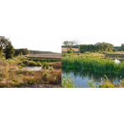Landbrugets grønne 'quick fix' spærrer for ægte natur