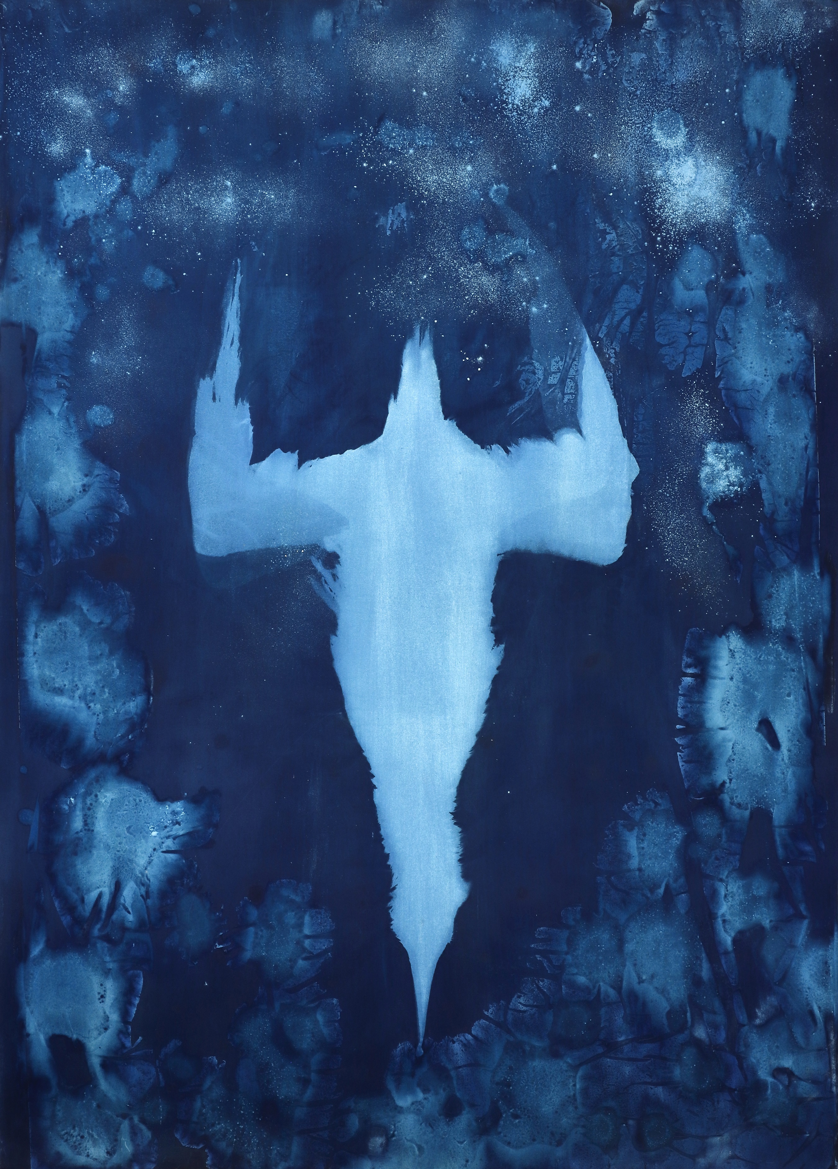 Kristian Mainz - Dykkende sule - foto Ole Friis.jpg