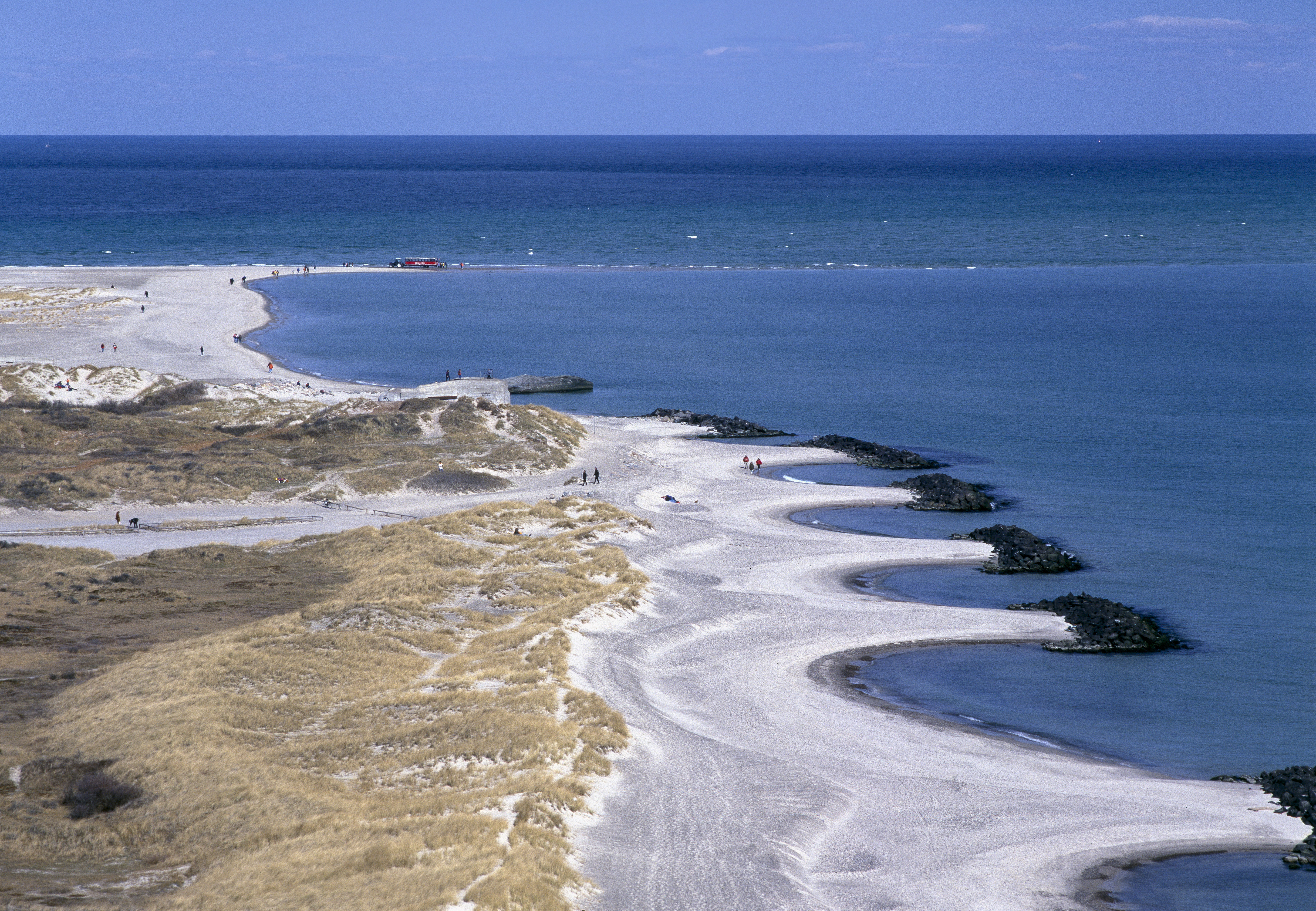 Vil du være med til at beskytte enestående natur i Danmark? 