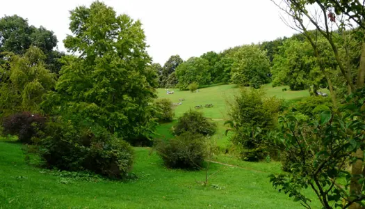 Botanisk Have i Aarhus