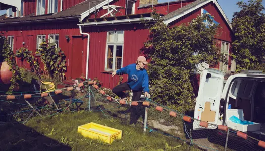 Hetzet på de sociale medier