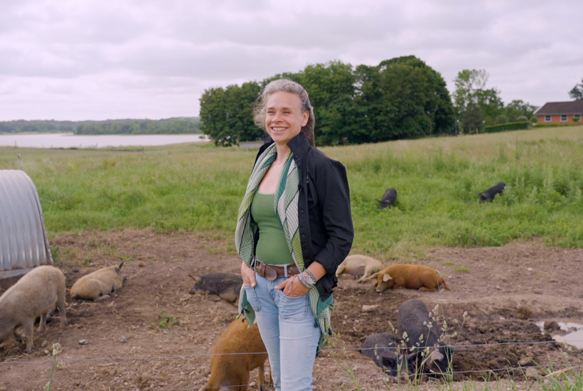 Marias grise lever et langt og naturligt liv: Vi kan ikke være andet bekendt 