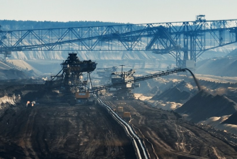 Grønne dokumentarfilm du skal se