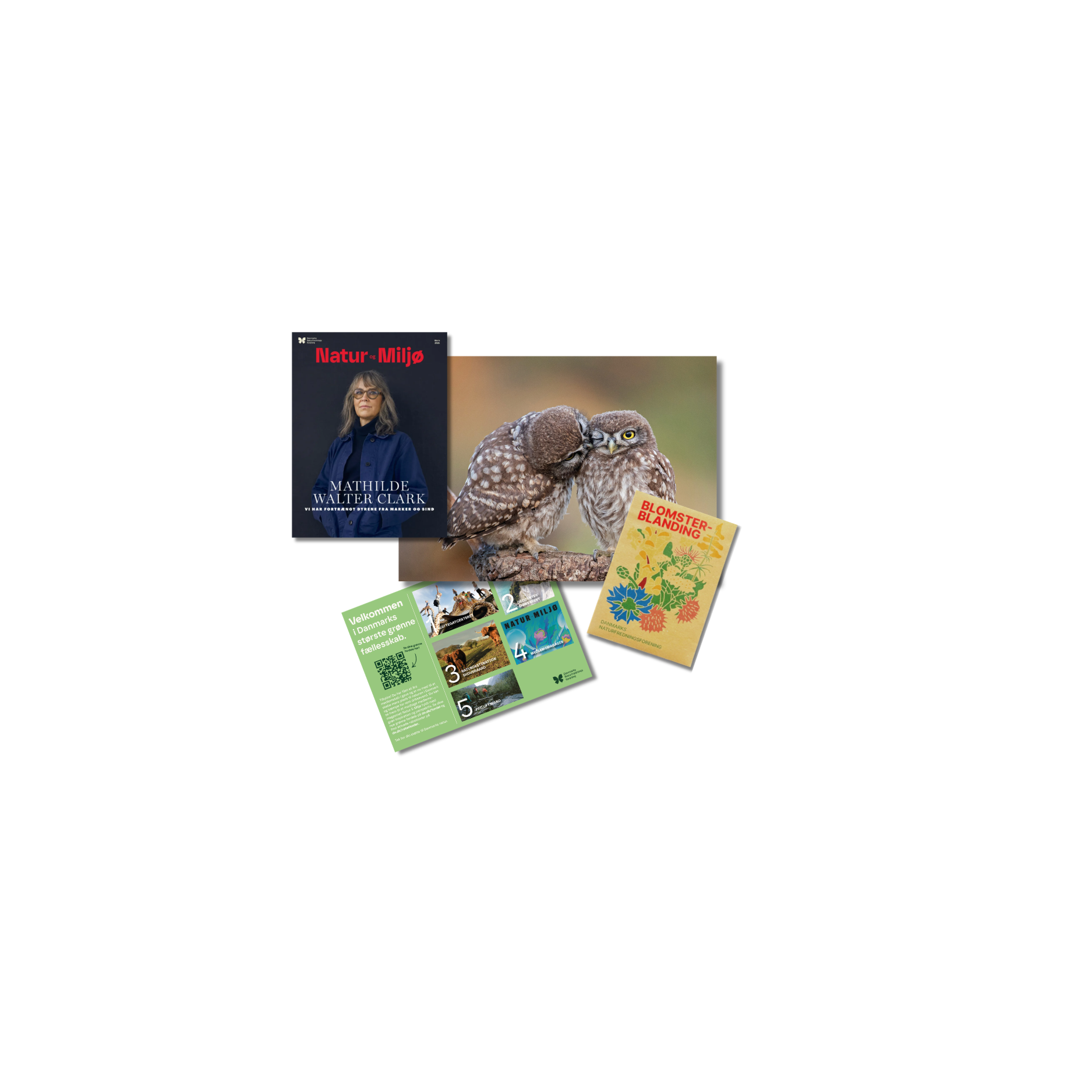 En gave, der får håbet til at spire🌱