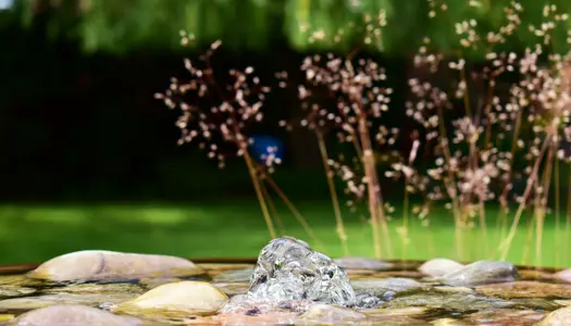 3) Glem ikke vandet i de varme måneder