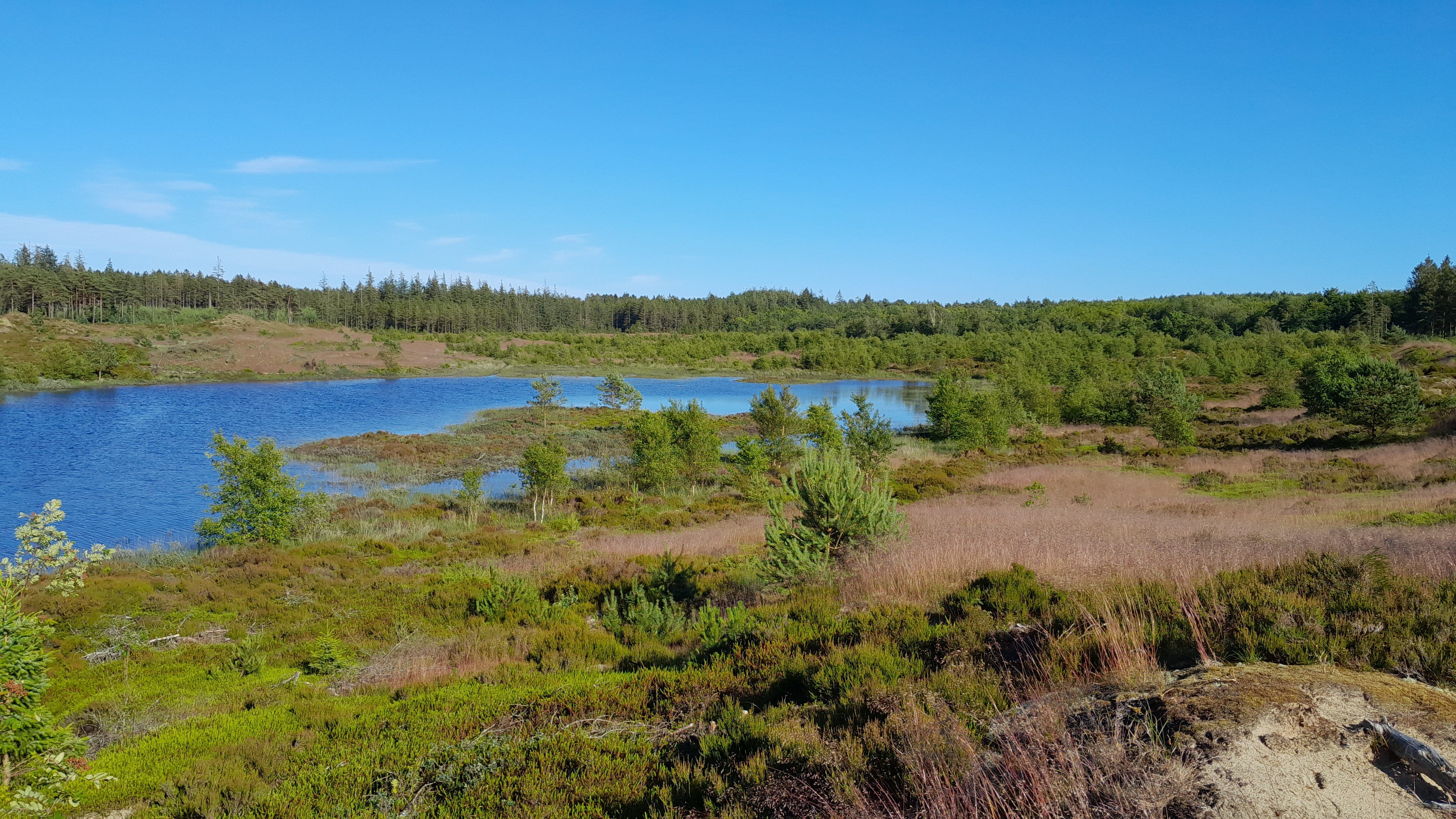 Stråsø