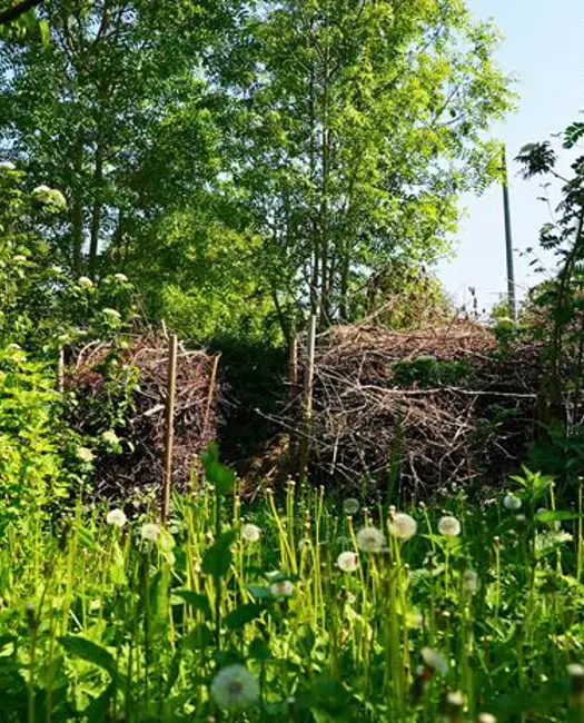  5. Kvashegn og diger til overvintring