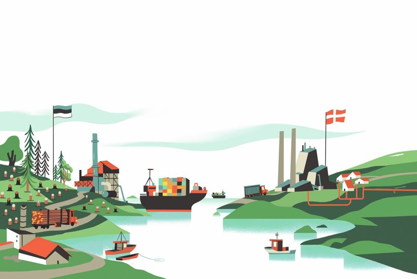 Biomasse - vi blev lovet en grøn løsning, men fik endnu endnu en hovedpine