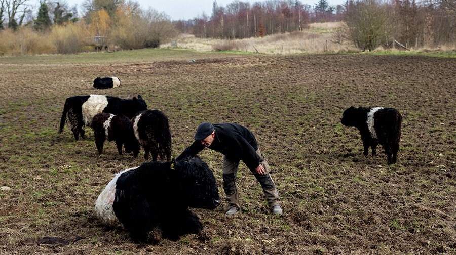 Tema: Et nyt landbrug