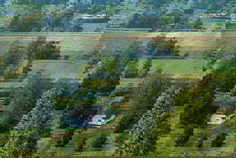 Tjek naturen i din kommune – og se, hvordan dit kryds kan gøre en forskel