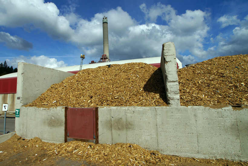 Hvad er biomasse? Og hvorfor løser det ikke vores klimaproblemer?