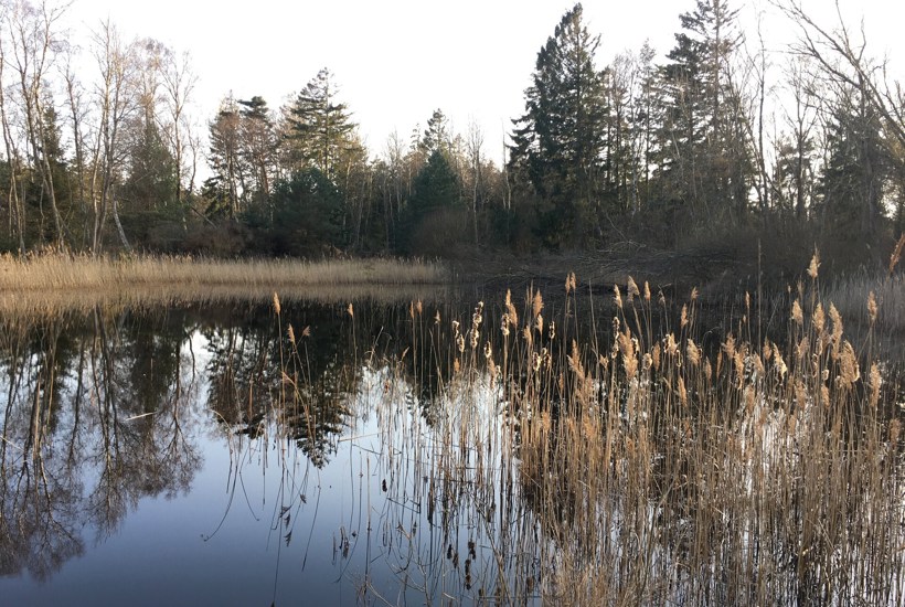 Ulovligt at udskyde plan for vandmiljøet - NGO'er i fælles opråb