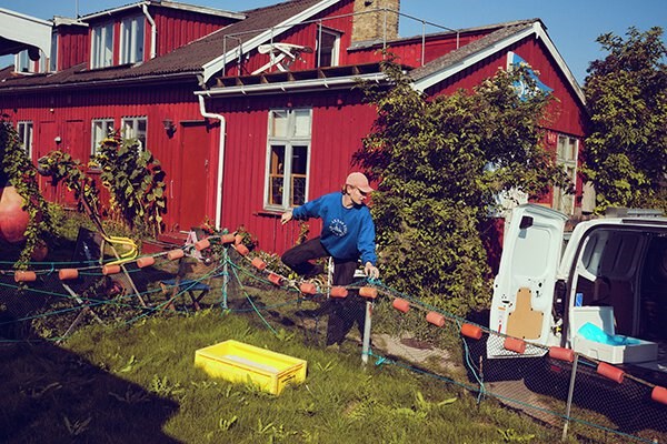 Tema: En bid af havet