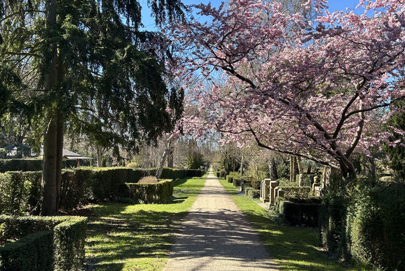 Københavnsk kirkegård bliver fredet: Bliver beskyttet mod byudvidelse