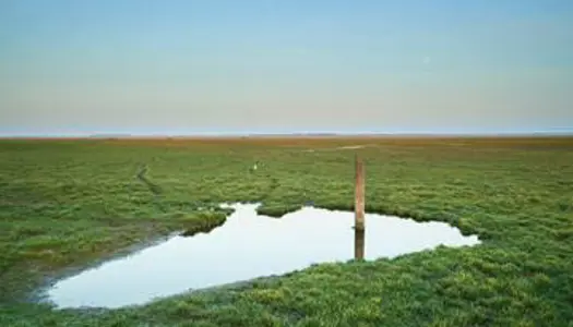 Vest Stadil Fjords historie