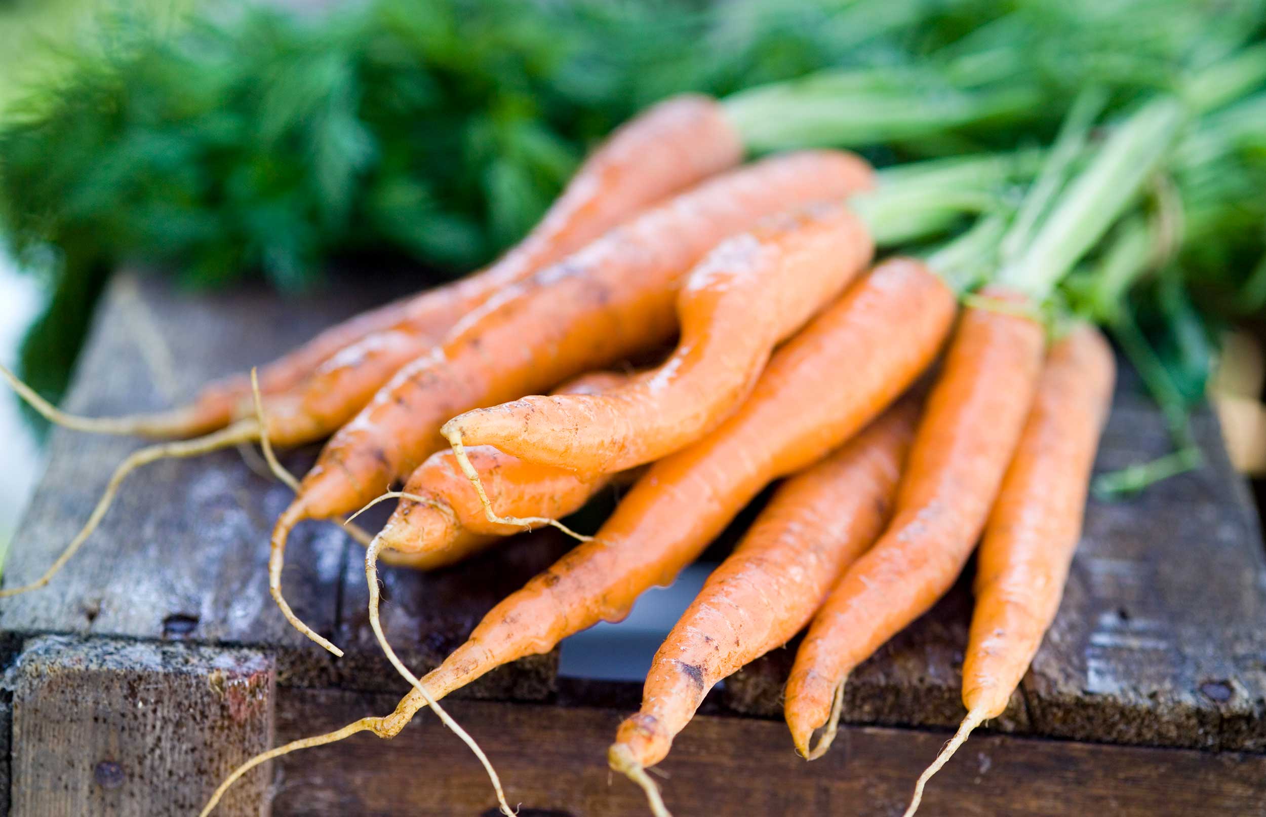 Hvad kan du selv gøre?