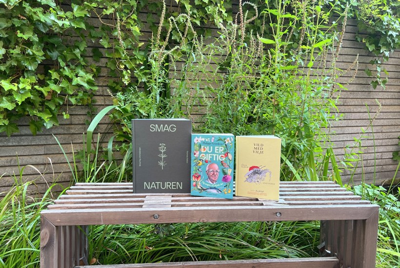 10 anbefalinger: Bøger til efterårsferien