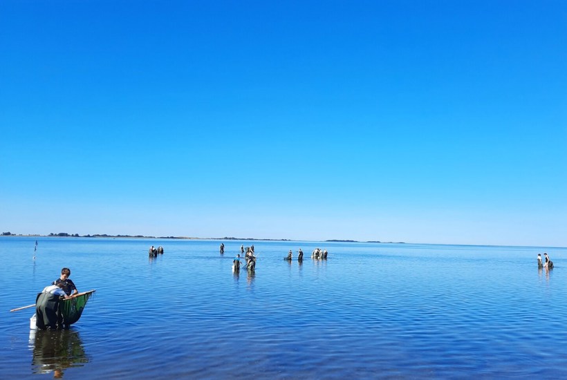EU’s Ocean Pact: Et vigtigt skridt – men havet har brug for mere end fine ord 