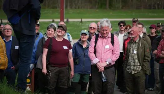 Bliv frivillig i en lokalafdeling