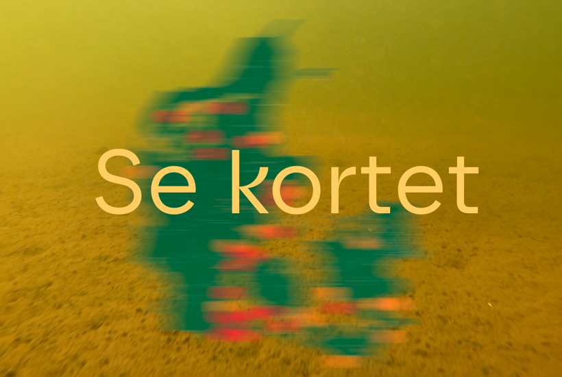 Se kortet: Disse kystvande har været ramt af iltsvind denne sommer