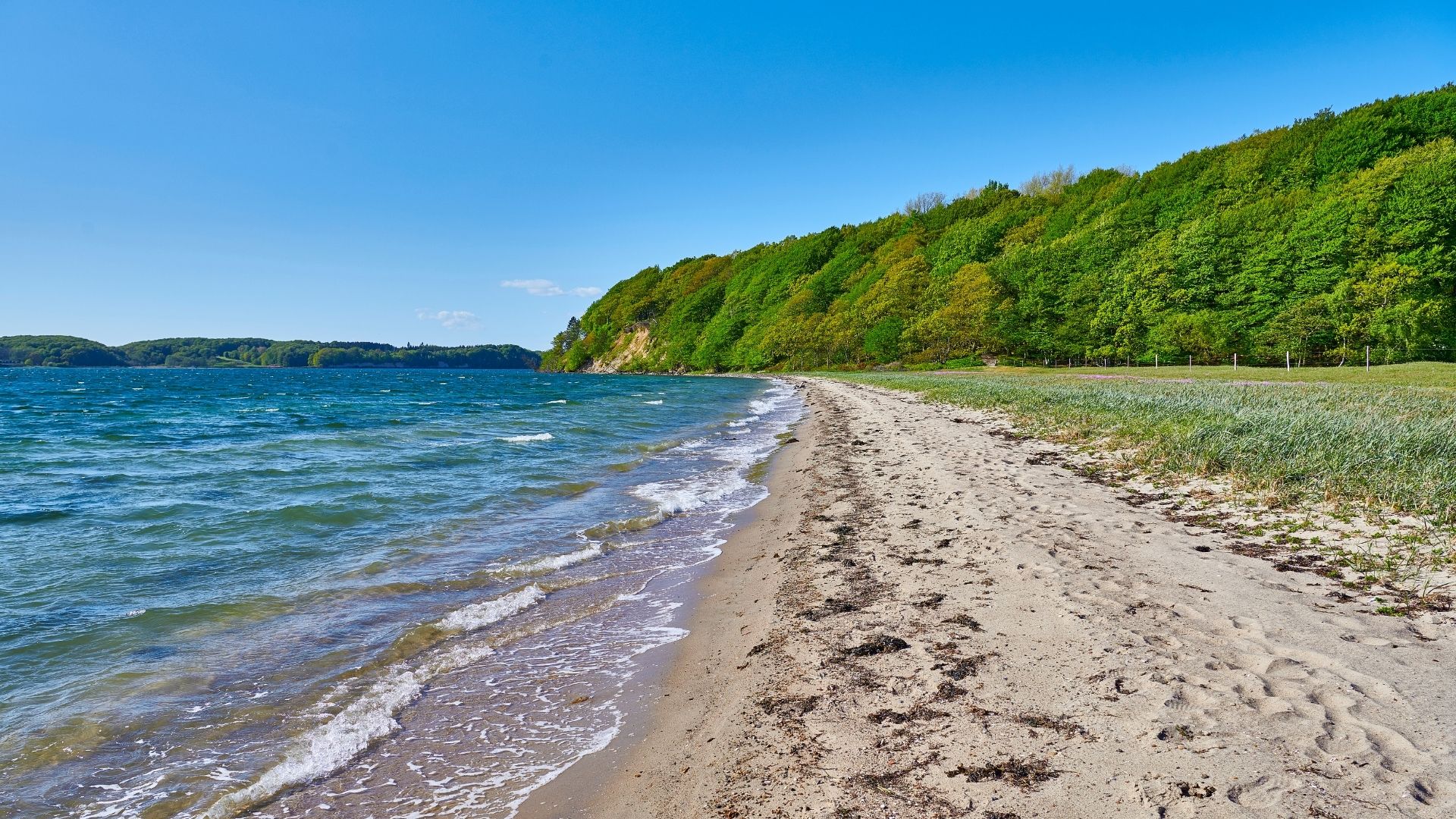 Varmere hav presser livet i havet: Nu haster det 