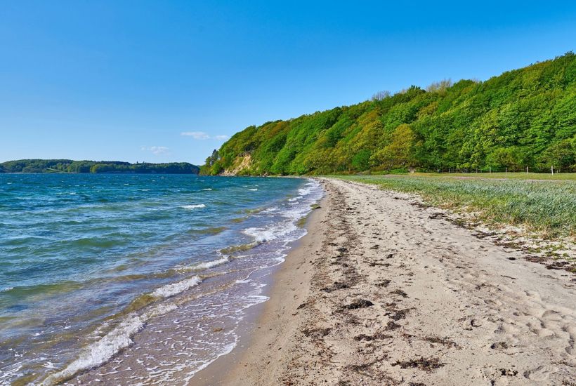 Varmere hav presser livet i havet: Nu haster det 