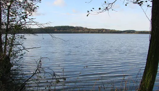13 vidunderlige søer og vandløb i Danmark | Danmarks Naturfredningsforening