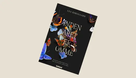 Køb "Inden året er omme" i webshop